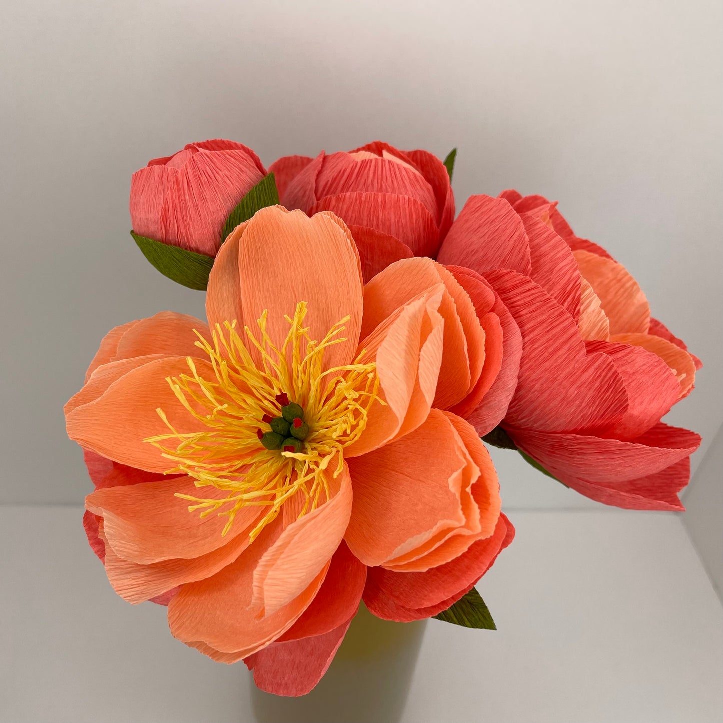 Coral Charm Peonies