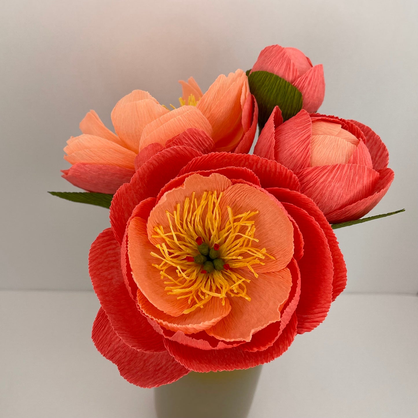 Coral Charm Peonies