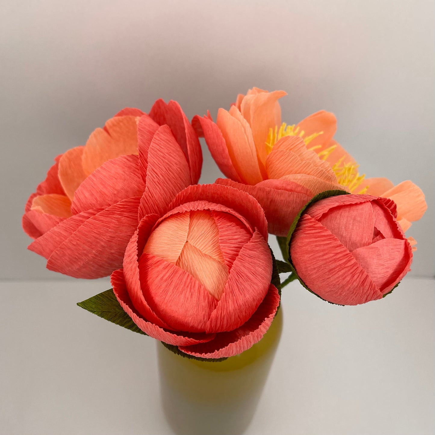 Coral Charm Peonies